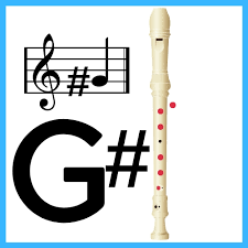 How to play all the notes on the recorder! G Sharp On Recorder All Recorder Notes Songs