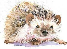 Fine Art Print Of Hedgehog Watercolour By Helen April Rose 474 Ebay Hedgehog Art Watercolor Artwork Hare Watercolour