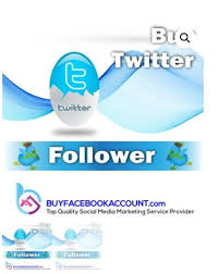 Buy Twitter Followers High Quality Real Active Cheap Price Social Media Services Twitter Followers Digital Marketing