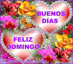 Resultado de imagem para feliz domingo