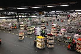 Ga erop uit op de westeinderplassen, aanschouw de bloemsierkunst en ontdek ambachtelijke ondernemers. Flower Power At The Aalsmeer Flower Auction European Waterways