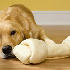 But is it the rawhide or just the chewing that they love? Are Rawhide Chews Dangerous For Dogs American Kennel Club