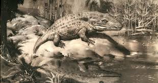 Legenda Crocodile Frog Blog Misteri Tesla Emon eko 4.788.207 views3 year ago. legenda crocodile frog blog misteri tesla