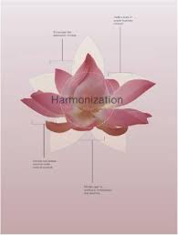 The equal protection clause is located at the end of section 1 of the fourteenth amendment: Gifting Exchange And Reciprocity In Thai Annual Reports Towards A Buddhist Relational Theory Of Thai Accounting Practice Sciencedirect