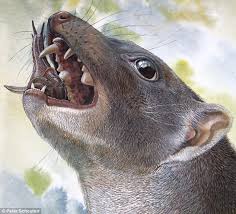 Sacha smashes the goo out of some assorted snails. Carnivore With Hammer Like Teeth Lived In Australia 15 Million Years Ago Daily Mail Online