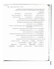 B or fibrous and 2 or suture. Anatomy And Physiology Coloring Workbook Answers Chapter 4 Jpg Course Hero