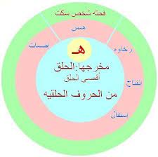 pin by mnooosh35 on islamic light words life quotes quran