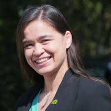 Greens of Colour in Green Party Internal Elections