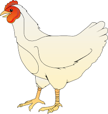 Style Guide Clker Chicken Clip Art Clip Art Pictures Graphic Illustration