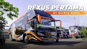 Lowongan kerja pt trijaya gemilang mandiri. Foto Bus Haryanto Terbaru