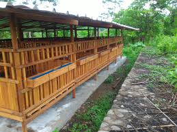 Jika anda mempunyai beberapa ekor kambing, maka sepantasnya anda membuatkan sebuah kandang yang baik dan sehat untuk kambing anda tersebut. Awistaros Blog Eksotisme Kandang Kambing Portable