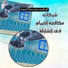 شركات مكافحة الحمام في الشارقة 0567667142 بيت العز 0567667142 Bird Control Sharjah Poster