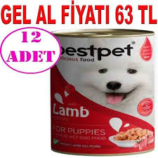 bestpet kuzu etli yavru kopek konservesi 400gr 12 ad amazon pet center 2021 yavru kopek kopek amazonlar