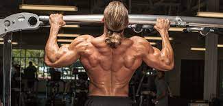 Back muscle diagram chart latissimus dorsi gym workouts back muscles. 18 Laws Of Back Training