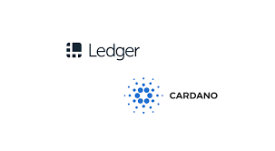 As you can see, there's no background. Cardano S Ada And Yoroi Wallet Now Integated With Ledger Nano S Cryptoninjas