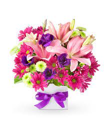 How to send flowers to australia. Flowers From 39 Easyflowers Australia Send Flowers Online Australia Wide With Australia S Favourite Online Florist