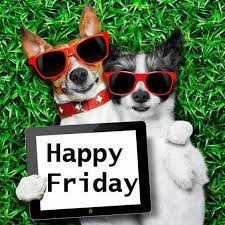 70 Funniest Friday Memes And Best Tgif Meme For The Weekend Good Morning Friday Funny Friday Memes Friday Humor
