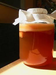 Ein Dicker Kombucha Pilz Im 4 Liter Glas Der Garprozess Dauert Nach Anleitung Mindestens 10 Tage Kombucha Rezept Kombucha Kombucha Pilz