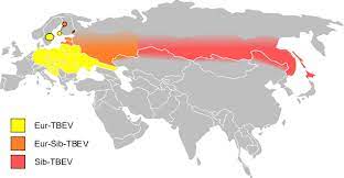 Mar 31, 2014 · the incubation period of tbe is usually between 7 and 14 days and is asymptomatic. Tick Borne Encephalitis Wikipedia