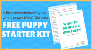 If at all possible, i recommend bringing your puppy home on a friday or saturday or on a day. 43 Tips For New Puppy Owners 3 Lost Dogs