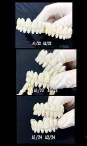 Diy Denture At Home Diy Denture Do It Yourself False Teeth Etsy Diy Teething Denture Dental Impressions
