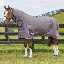 weatherbeeta comfitec essential combo neck medium turnout rug leg straps horse gear