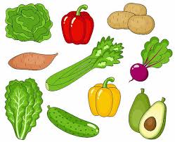 Vegetables Clip Art Cute Veggies Clipart Digital Clip Art Avocado Potato Pepper Beet Cucumber Instant Download Ydc019 In 2021 Vegetable Pictures Vegetables Clip Art With these fruit clip art resources, you can use for printing, web design, powerpoints, classrooms, craft projects and other graphic design purposes. vegetables clip art cute veggies