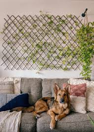 Allison mattison/interior designer/creating curated, colorful, livable homes in new england & beyond/ trad home, ne home, bestof bostonhome,elle decor www.trellishomedesign.com. Diy Live Plant Wall For Under 100 Melissa Frusco