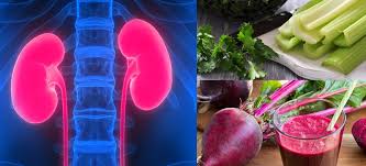 renal t foods list and eating plan