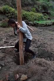 Geldgeschenk Im Bilderrahmen Geldgeschenk Zur Geburt Mit Bildern Diy Wohnmobel Baumhaus Japanische Architektur