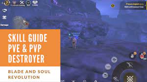 Please use the search function before posting a question or request. Skill Guide Destroyer Pvp Blade And Soul Revolution Tabrak Bos Youtube