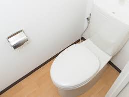 毎日のトイレ掃除 簡単 時短 節約 手間なし1分 トイレ掃除 掃除 トイレ