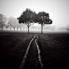 Michaelschlegel Com Fine Art Landscape Photography Landscape Photography Black And White Landscape Fine Art Landscape Photography