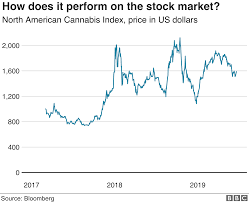 Cannabis Laced Beer And Dog Treats Excite Big Firms Bbc News