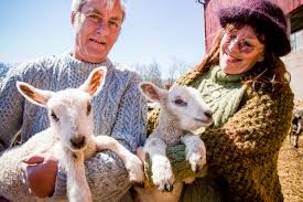 STEPHEN FUNK PHOTOGRAPHY