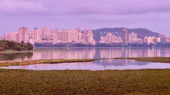 250+ Mumbai Pool Stock Photos, Pictures & Royalty-Free Images - iStock