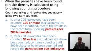Red blood cells are hemolyzed in thick smears; Method Of Count Malarial Parasites Youtube