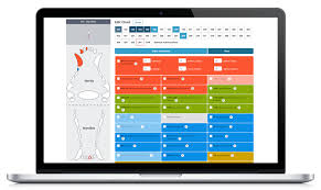 Quick And Easy Dental Charts Vet Dental Charts