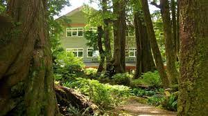 I received a media rate for my stay at jamie's rainforest inn, however all. Jamie S Rainforest Inn Tofino Holidaycheck British Columbia Kanada