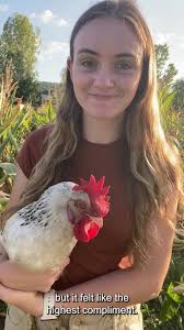 Peace Corps The Gambia added a...