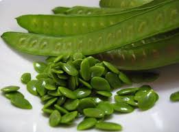 Dj ed channel 2.002 views1 year ago. Petai Belalang Dan Khasiatnya Blog Santai Santai Jerr