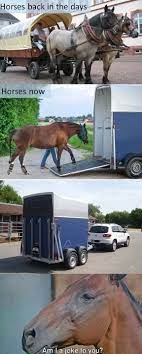 Horses Then And Now 9gag
