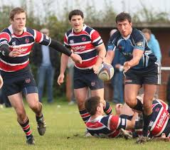 RUGBY UNION: Grove back