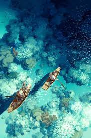 Background Artwork Of An Underwater Reef From An Above View With Two Row Boats C Shuchen Li Wohn Anime Scenery Environment Concept Art Anime Scenery Wallpaper