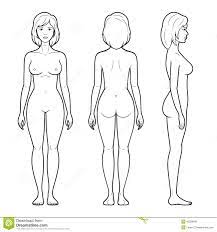 Female body from three angles, vector illustration. Robin Reburford Profile Pinterest