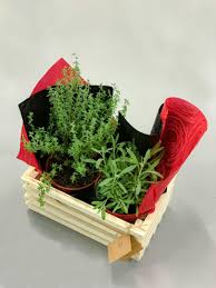 Check 'lompat tinggi' translations into english. Gift Box With English Herbs Handmade Pine Wood Christmas Gifts Design Craft Handmade Goods Accessories On Carousell