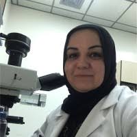 80+ "Allawi" profiles