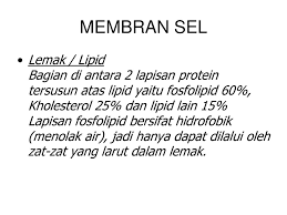 Setelah itu, lilitkan tali di seluruh permukaan leher botol. Komponen Sel Dr Prategrini Purwendahsricahyaprihatin Sucifaalinda Ppt Download
