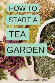 Pin On Garden Ideas And More