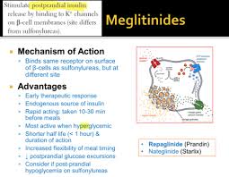 Image result for Meglitinide